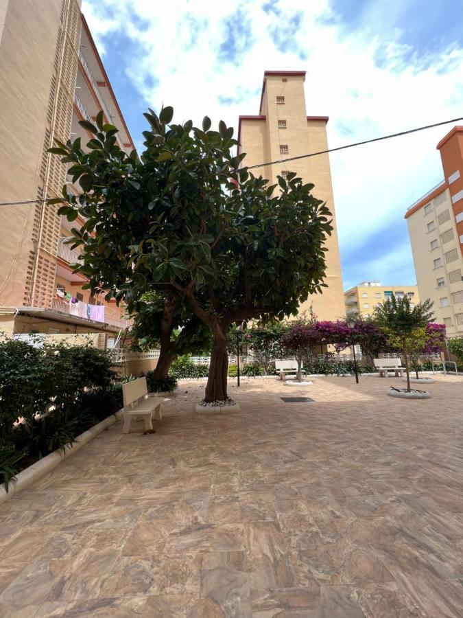 Ap Cande Playa De Gandia Εξωτερικό φωτογραφία