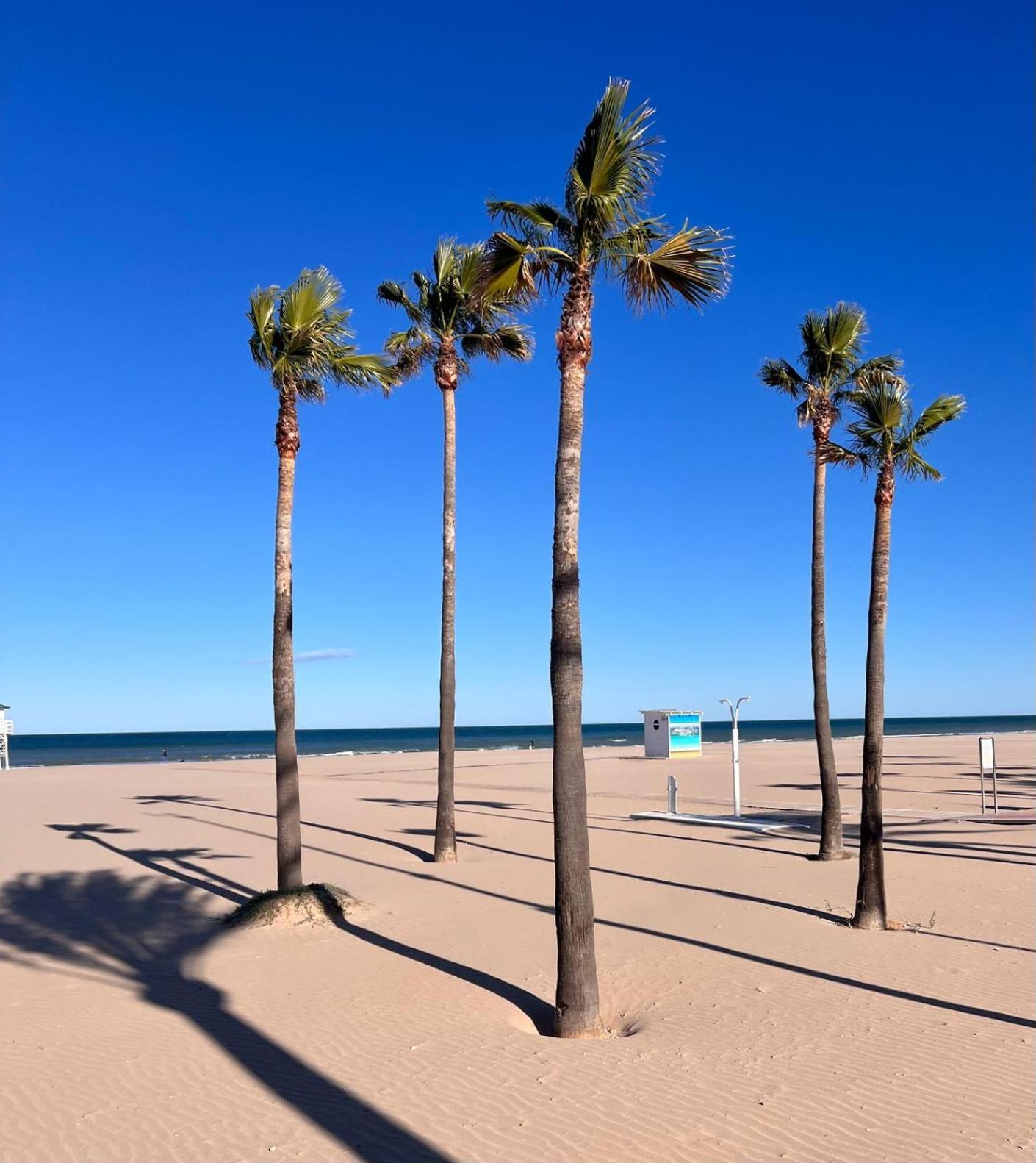 Ap Cande Playa De Gandia Εξωτερικό φωτογραφία